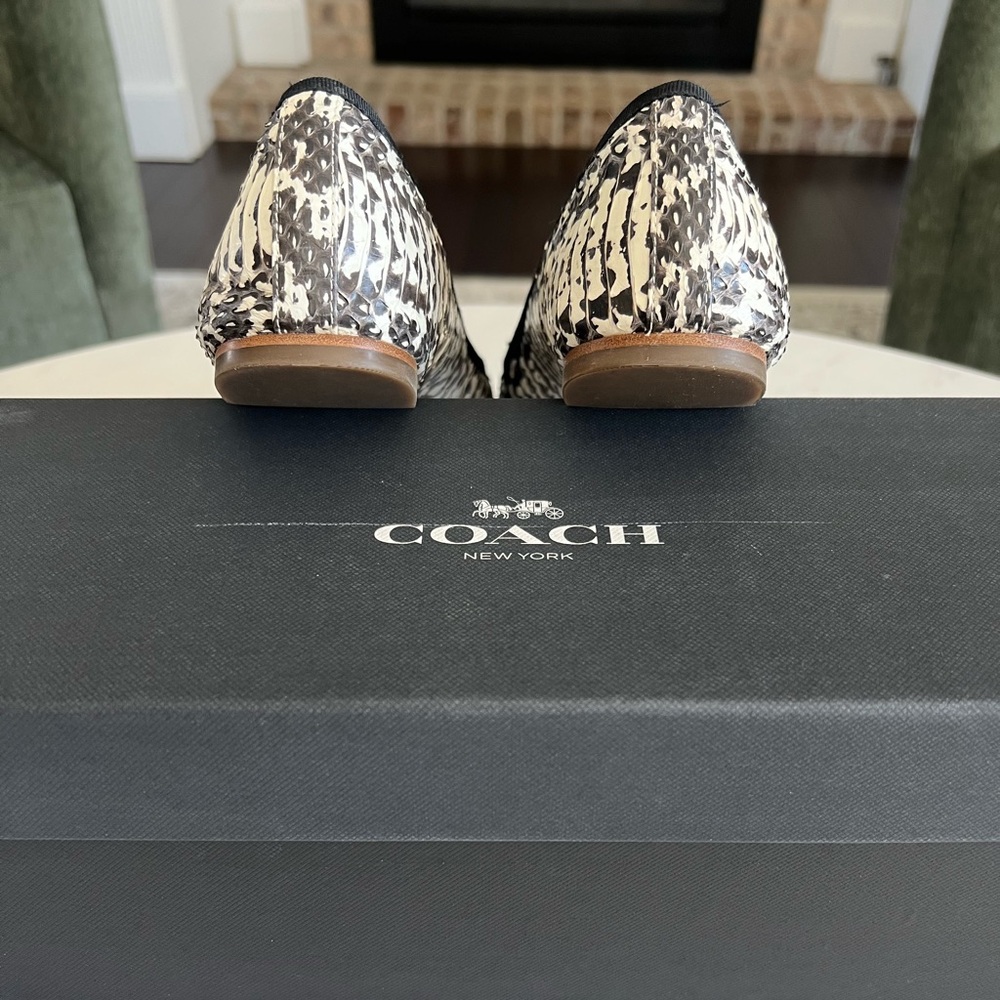 Coach Flatiron Ballet Flats - Black and White Snakeskin - Picture 8 of 10